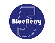 Logo Restaurant Blueberry